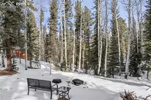 4076 Omer Ln, Divide, CO 80814 - Photo 26