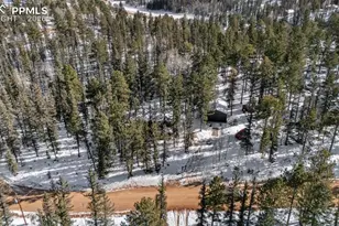 4076 Omer Ln, Divide, CO 80814 - Photo 38