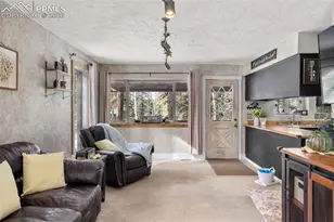 4076 Omer Ln, Divide, CO 80814 - Photo 4