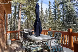 4076 Omer Ln, Divide, CO 80814 - Photo 28