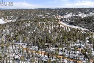 4076 Omer Ln, Divide, CO 80814 - Photo 34