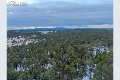 17160 Goshawk Road, Colorado Springs, CO 80908 - Photo 42