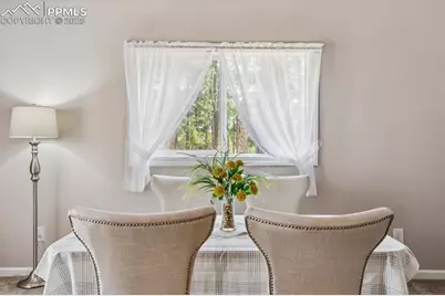 8725 Kirk Drive, Colorado Springs, CO 80908 - Photo 10