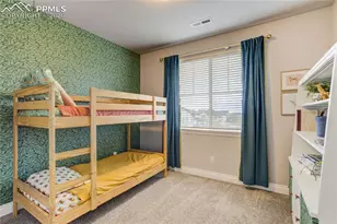 9112 Argentine Pass Trail, Colorado Springs, CO 80924 - Photo 28