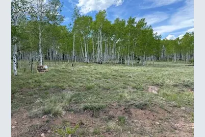 417 Aspen Way Drive, Florissant, CO 80816 - Photo 4