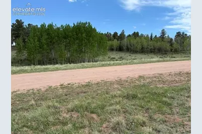 417 Aspen Way Drive, Florissant, CO 80816 - Photo 28
