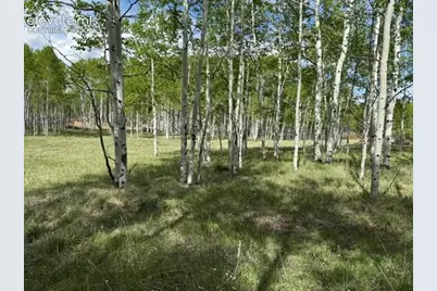 417 Aspen Way Drive, Florissant, CO 80816 - Photo 12
