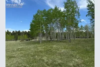 417 Aspen Way Drive, Florissant, CO 80816 - Photo 20