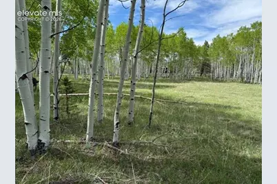 417 Aspen Way Drive, Florissant, CO 80816 - Photo 10