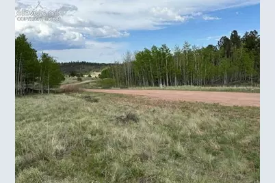 417 Aspen Way Drive, Florissant, CO 80816 - Photo 30