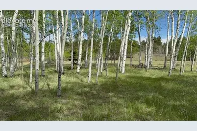 417 Aspen Way Drive, Florissant, CO 80816 - Photo 16
