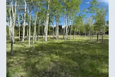 417 Aspen Way Drive, Florissant, CO 80816 - Photo 14