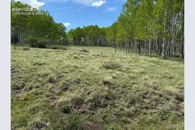 417 Aspen Way Drive, Florissant, CO 80816 - Photo 6