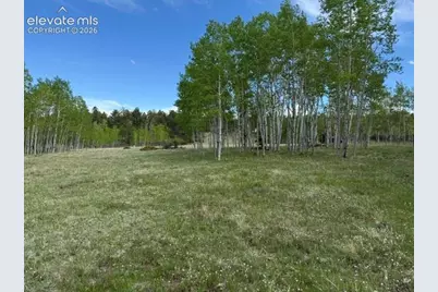 417 Aspen Way Drive, Florissant, CO 80816 - Photo 18