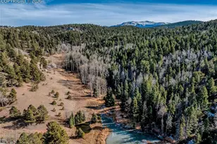 528 Mohawk Heights, Florissant, CO 80816 - Photo 46