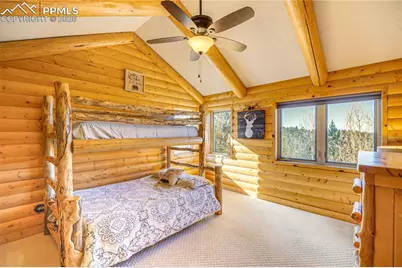 528 Mohawk Heights, Florissant, CO 80816 - Photo 28