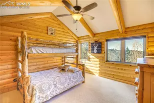 528 Mohawk Heights, Florissant, CO 80816 - Photo 28