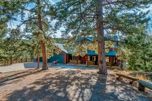 528 Mohawk Heights, Florissant, CO 80816 - Photo 2