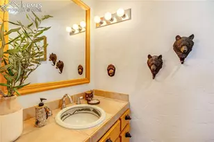 528 Mohawk Heights, Florissant, CO 80816 - Photo 16