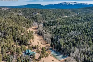 528 Mohawk Heights, Florissant, CO 80816 - Photo 40