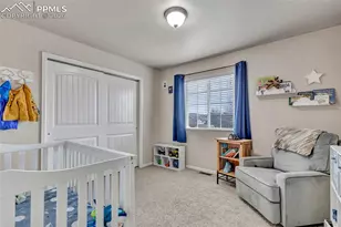 3091 Shikra View, Colorado Springs, CO 80916 - Photo 26