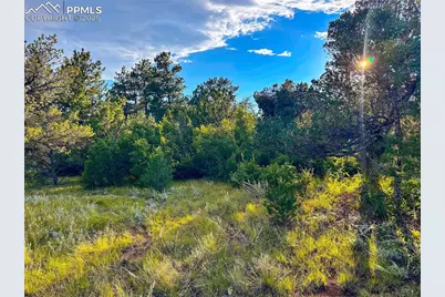 16116 Cala Rojo Drive, Colorado Springs, CO 80926 - Photo 2