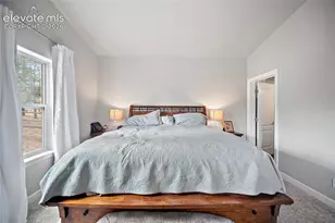 1101 Ptarmigan Dr, Woodland Park, CO 80863 - Photo 16