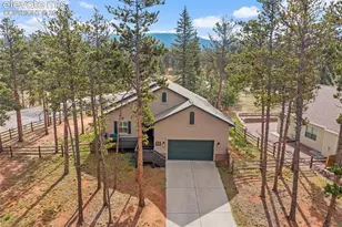 1101 Ptarmigan Dr, Woodland Park, CO 80863 - Photo 40