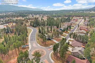 1101 Ptarmigan Dr, Woodland Park, CO 80863 - Photo 46