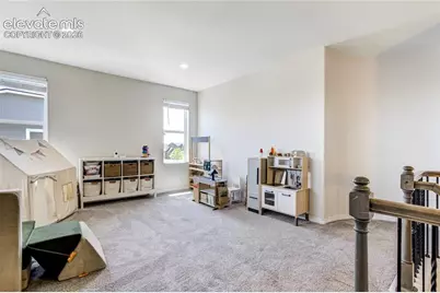 7664 Alpine Daisy Drive, Colorado Springs, CO 80925 - Photo 20