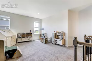 7664 Alpine Daisy Dr, Colorado Springs, CO 80925 - Photo 20