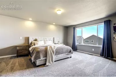 7664 Alpine Daisy Drive, Colorado Springs, CO 80925 - Photo 22