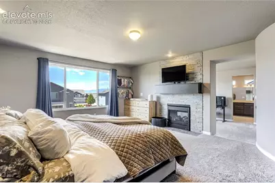 7664 Alpine Daisy Drive, Colorado Springs, CO 80925 - Photo 22