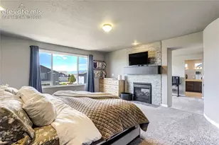 7664 Alpine Daisy Dr, Colorado Springs, CO 80925 - Photo 22