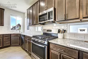 7664 Alpine Daisy Dr, Colorado Springs, CO 80925 - Photo 14