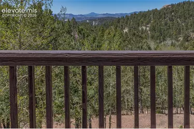 265 Homestead Road, Divide, CO 80814 - Photo 2