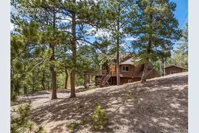 265 Homestead Road, Divide, CO 80814 - Photo 40