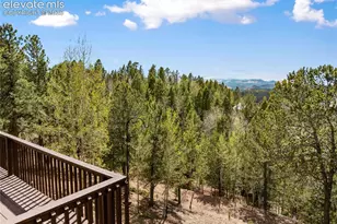 265 Homestead Rd, Divide, CO 80814 - Photo 48