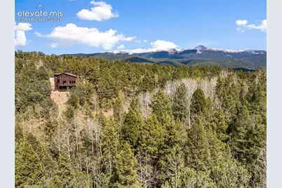 265 Homestead Road, Divide, CO 80814 - Photo 50