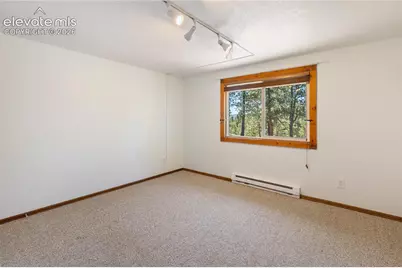 265 Homestead Road, Divide, CO 80814 - Photo 32