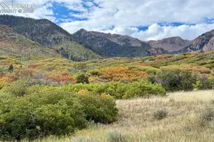 2590 Silent Rain Dr, Colorado Springs, CO 80919 - Photo 44