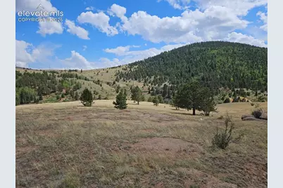 617 S 3rd Street, Victor, CO 80860 - Photo 16