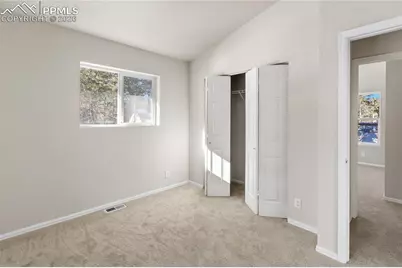 489 N Pine Street, Woodland Park, CO 80863 - Photo 30