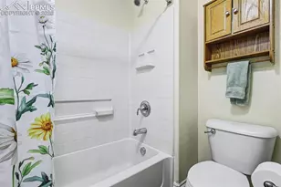 7858 Chasewood Loop, Colorado Springs, CO 80908 - Photo 32