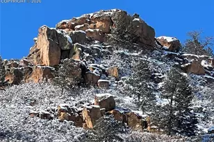 320 Columbine Rd, Palmer Lake, CO 80133 - Photo 38