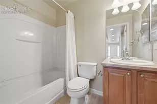 932 Burning Bush Point, Monument, CO 80132 - Photo 24