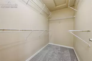 932 Burning Bush Point, Monument, CO 80132 - Photo 14