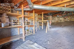 9850 Mohawk Trail, Cascade, CO 80809 - Photo 46