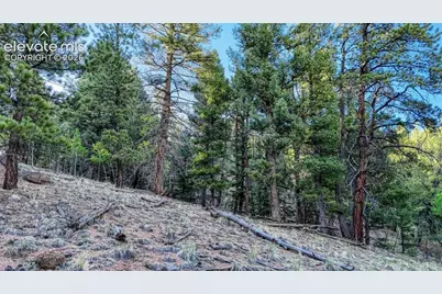 364 Blue Spruce Road, Divide, CO 80814 - Photo 12