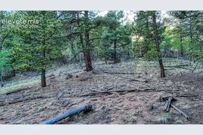 364 Blue Spruce Road, Divide, CO 80814 - Photo 8